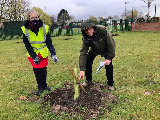 Mulching our GoodGym Community Tree in Rose Hill Orchard