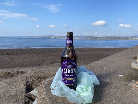 Beach Clean