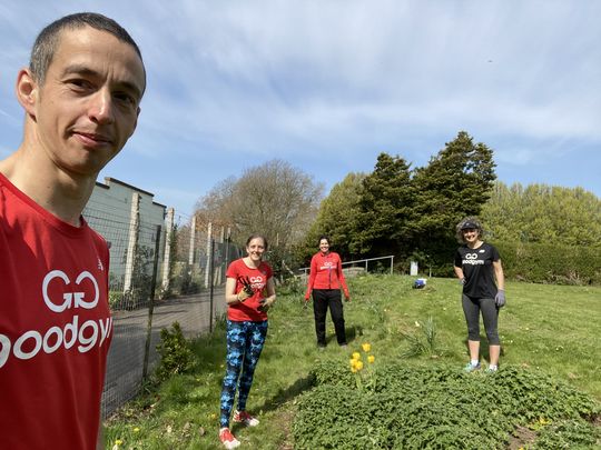 Sunshine on a sunny-day: Eastville Gardening 