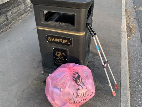 Litter pick 