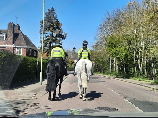 Spring in the air and horses on the road