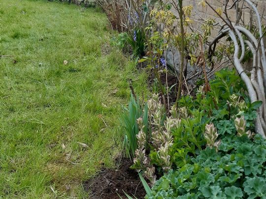 Weeding my way around the garden