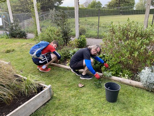 Eastville garden flowerbeds