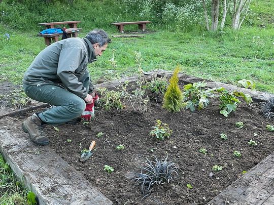 Summer evening gardening