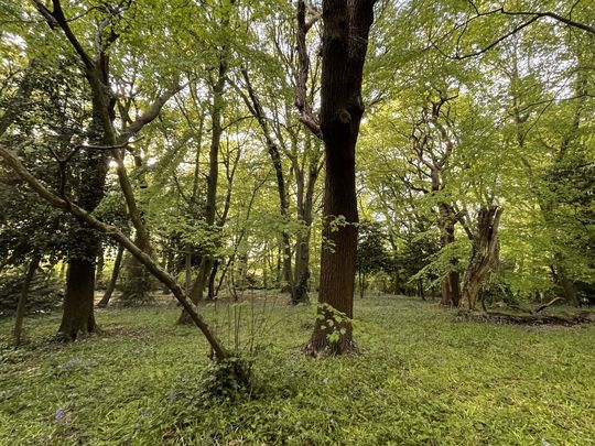 Goodgym & the Green Cathedral