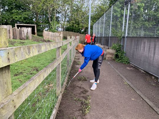 Weeding around middle paddock!