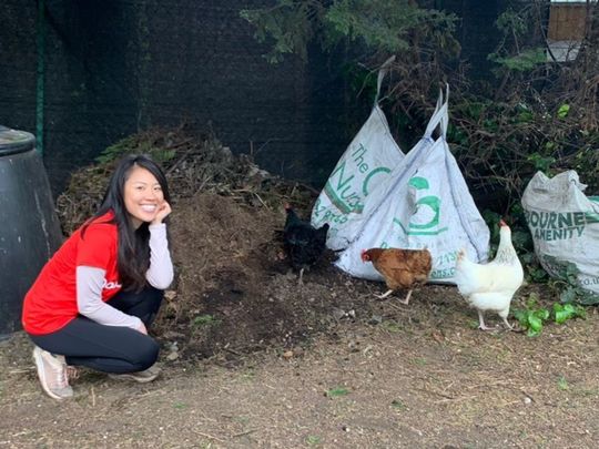 Not the time to chicken out at Canbury Gardens