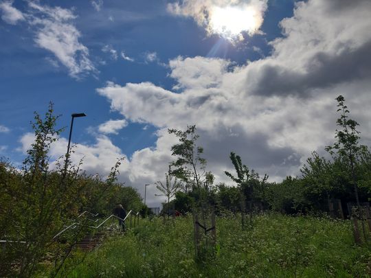 Greener pastures for bramble bashing masters