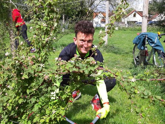 Edging around the hedges