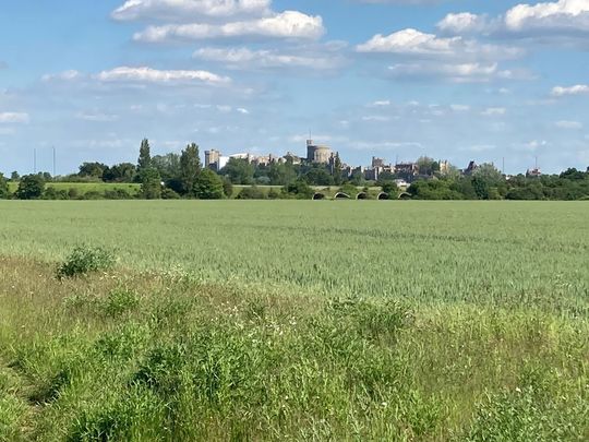 Eton Wick run