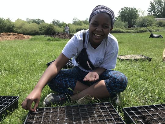 Planting seeds of change and lettuce 🥬 