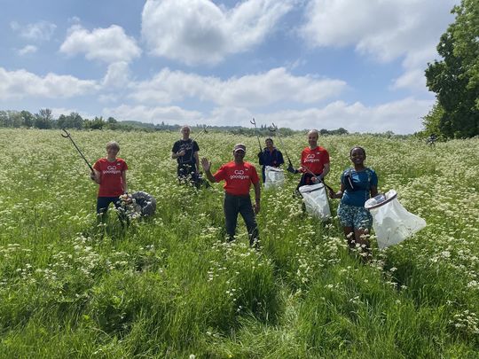 Litter pick 