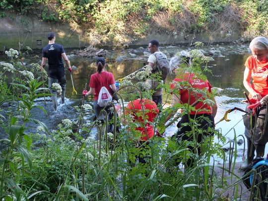 Don't get crabby in the creek!