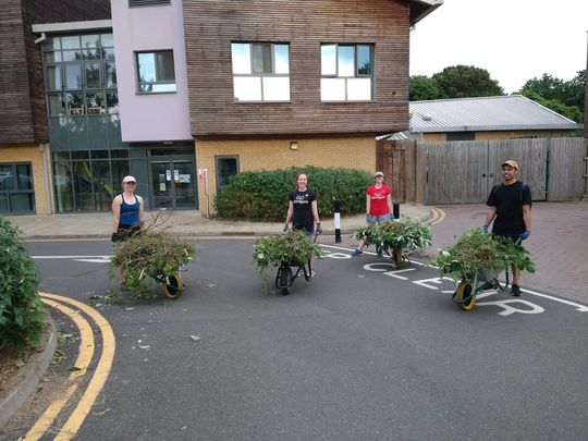 The root of all happiness - Weednesday GoodGym