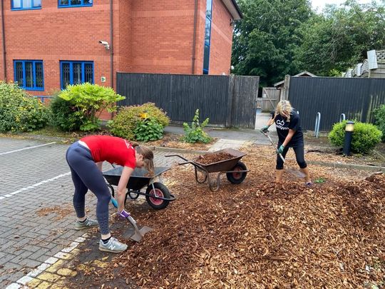 Making molehills out of a mountain (of bark)