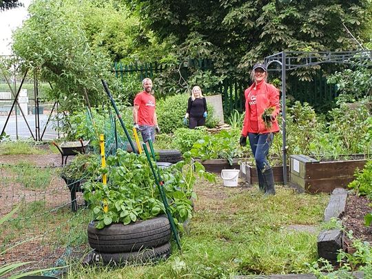 A Clear Path to Success! (and the Veggie Patch)