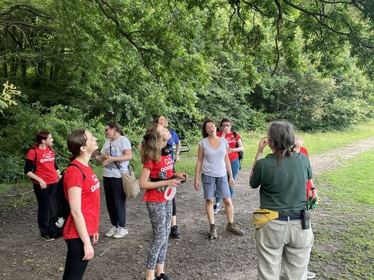 Reiki in Highgate woods!