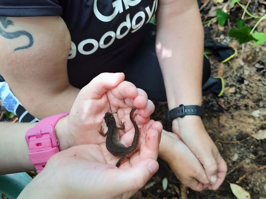 Eye of Newt and Toe of frog