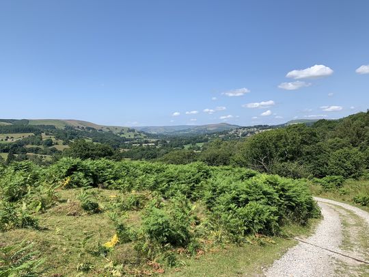 Helping Hathersage Hilly happen