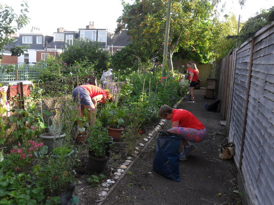 Weeding in the secret garden