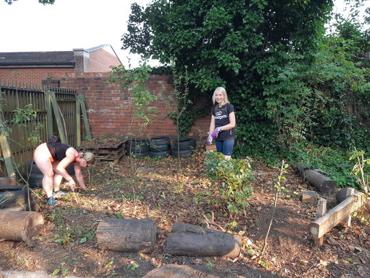 Tree-mendous work clearing weeds in Chapel Allerton 