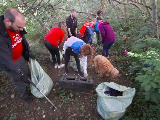 litter picking!