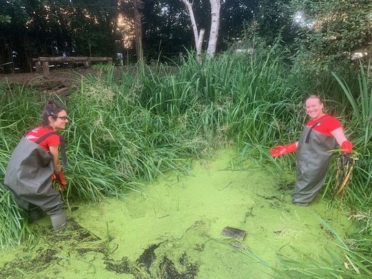 What a wader spend an evening!