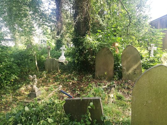 St Peter-in-the-Forest gardening