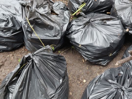 Edgeley Park plogging - a rubbish Tuesday! 