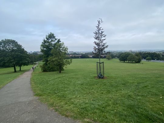 Marshalling on a not so sunny, sunny hill parkrun 