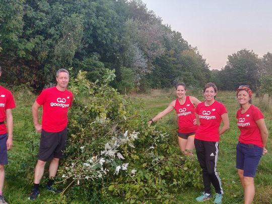 Pre - pearing the Edgeley Field Orchard