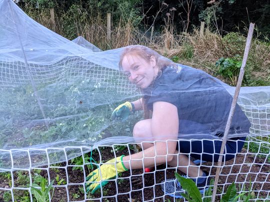 Net a good time at the allotment