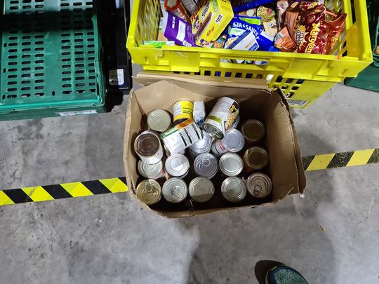 Bean sorting tins