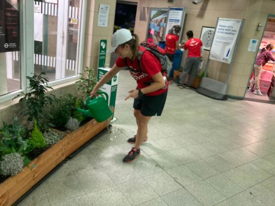 Watering community planters for all to enjoy