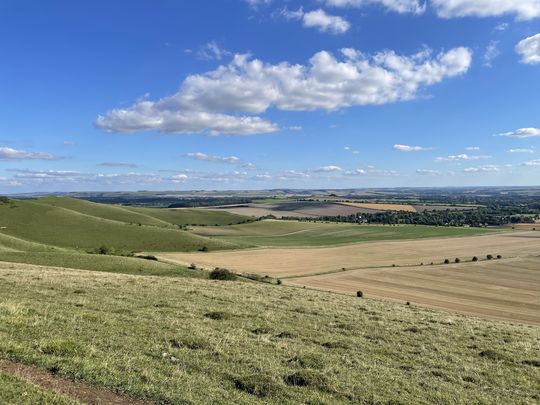 Stretching the limits with Goodgym 