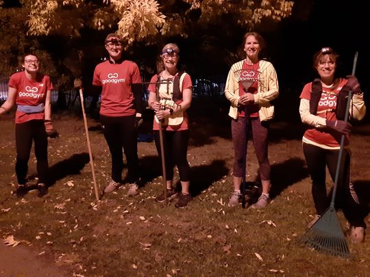 Raking Hay while the Headtorch Shines