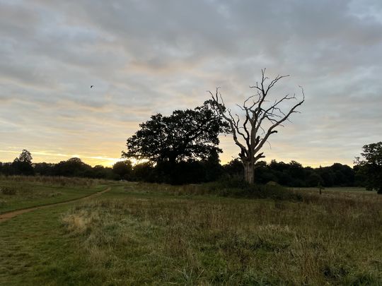 Catton Park