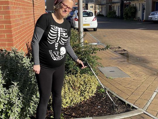 Litter pick or treat