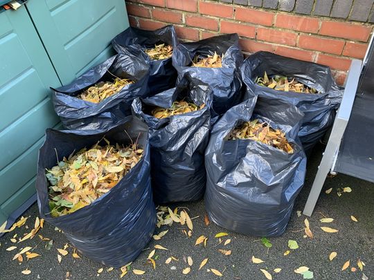 GoodGym bagged you🍂 up!