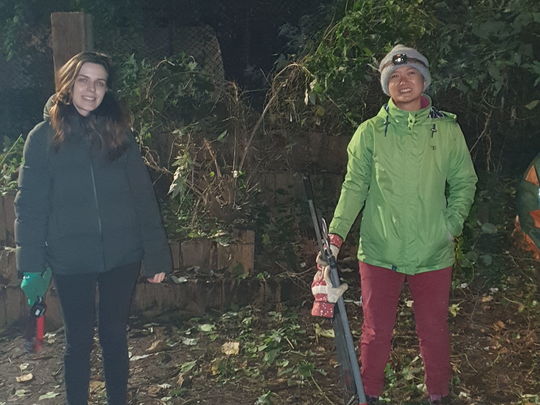 Buddleia-ding gardeners