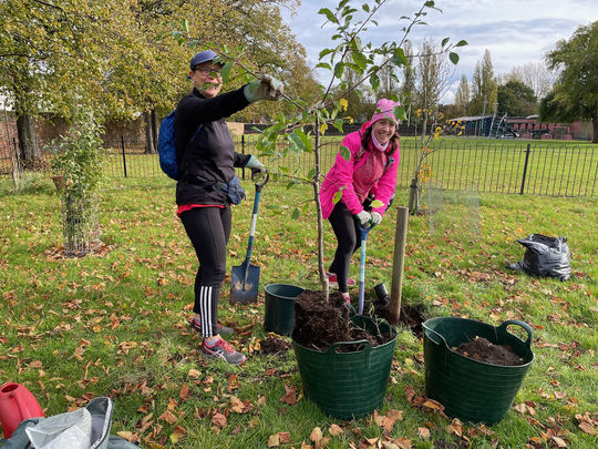 An apple tree a day keeps the CO₂ at bay