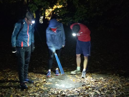 Would you be-leaf that the parks of Cheadle were clean? 