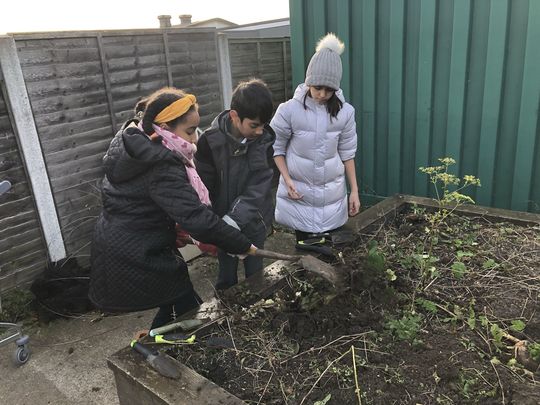 Humongous Parsnip Adventures with local primary school Eco Rangers