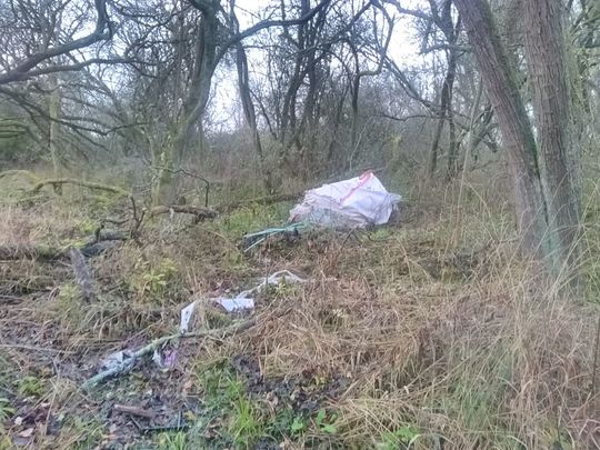 Local litter pick - winter edition