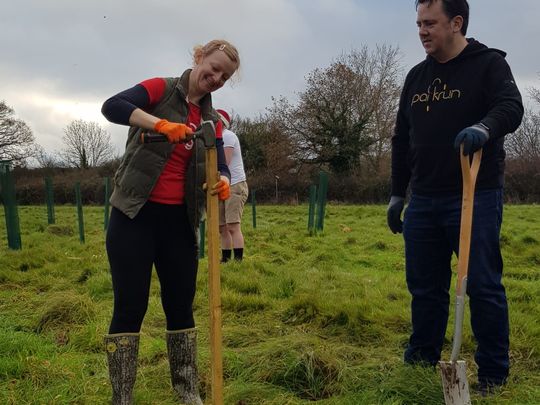 Planting the 100 acre wood