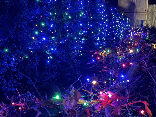 Stephen lights up Finchley with some help from Goodgym Barnet