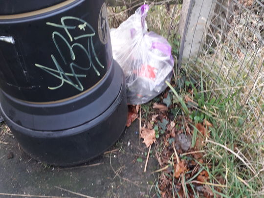 Litter picking run