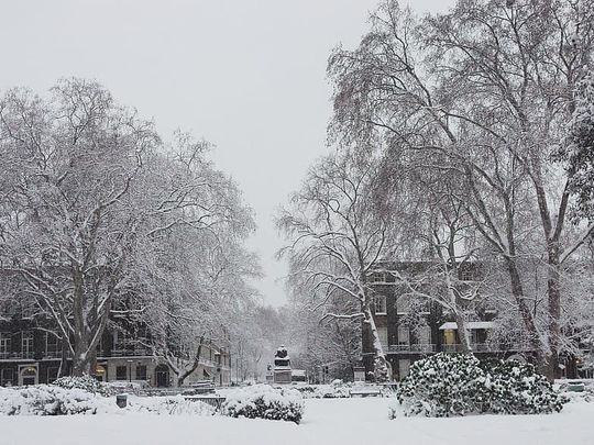 Bloomsbury is blooming marvellous - even when it's cold