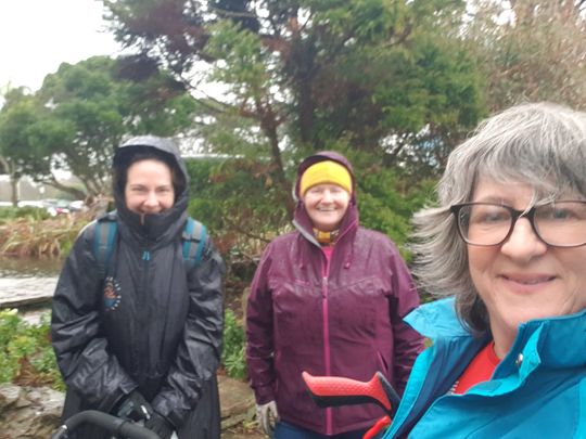 Rock Garden in the rain