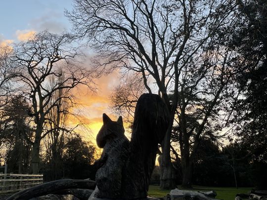 Stretching from the dark to Sunrise with goodGym.